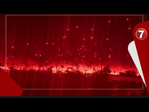 وسط أجواء رائعة الـ وينرز تضيء سماء عين الذياب احتفالا بمرور 20 سنة على تأسيسها