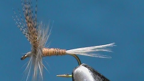 Fly Tying a Red Quill with Jim Misiura
