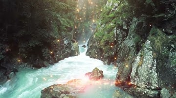 سورة البقرة || الشيخ محمد حسين عامر رحمه الله