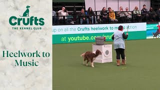 Heelwork To Music Part 1 | Crufts 2024