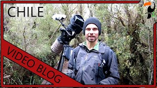 Video Blog - 3 Weeks in Chile and Patagonia