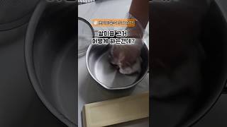 쌀미음 어떻게 하는건데?! #쌀미음 #10배죽 #쌀가루쌀미음