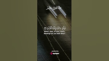 لحظة صفاء مع أجمل آيات القرآن الكريم 💫📖 #هدوء_نفسي #قرآن