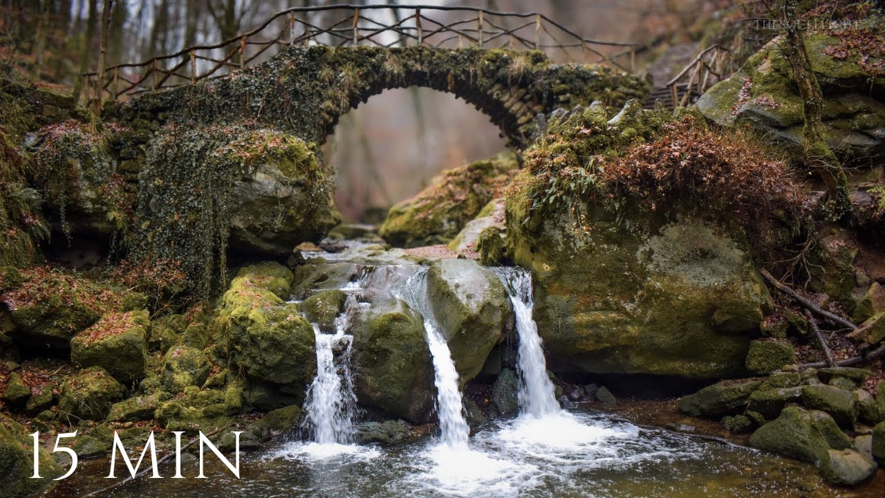 15 Minutes of Winter Forest Calm | Mullerthal Luxembourg | Cinematic Drone Nature 4K