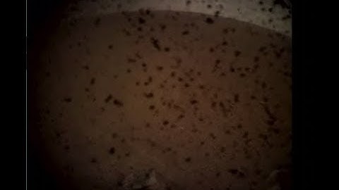 NASA InSight Mars Landing - First Picture from Mars  (Live) 2018/11/2018