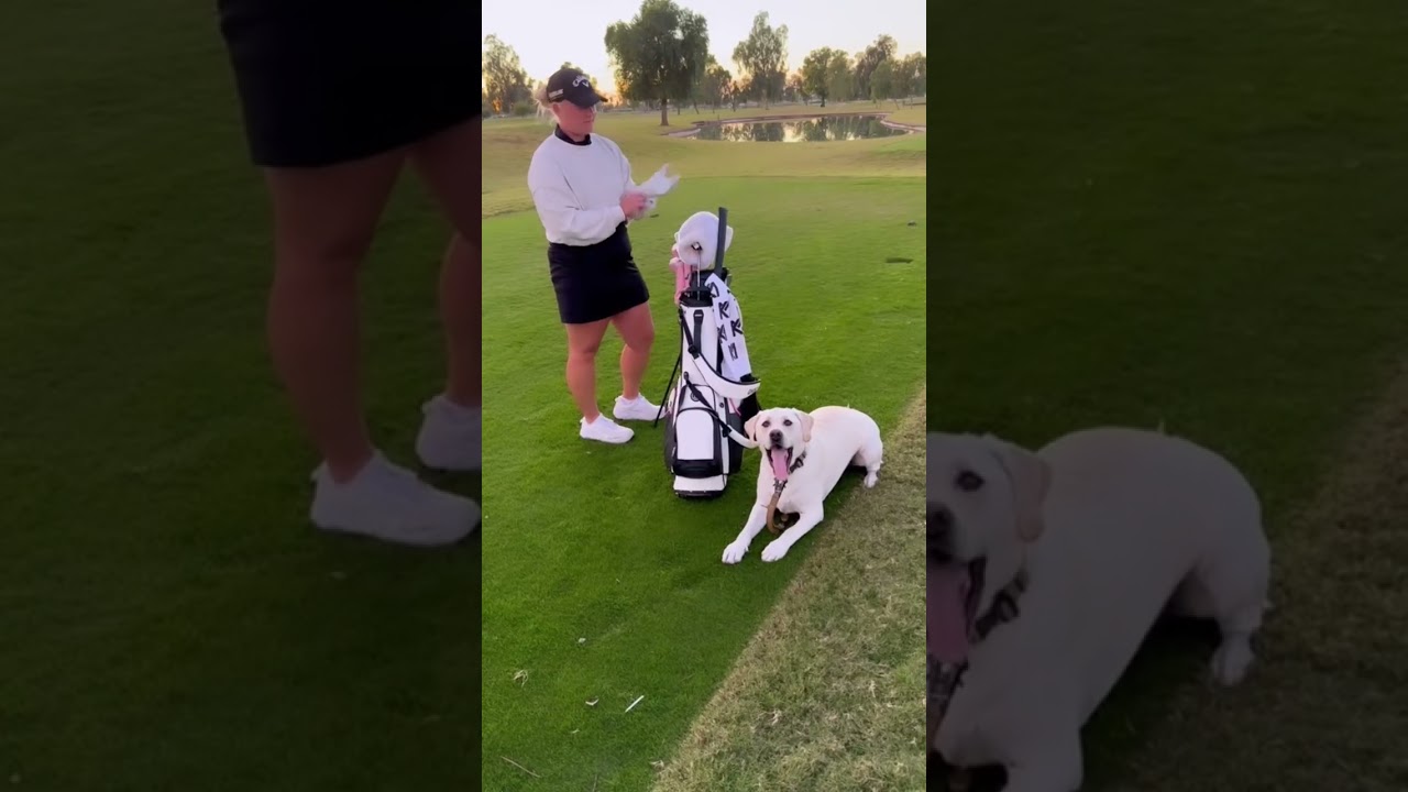 Take your pet to the golf course with a 