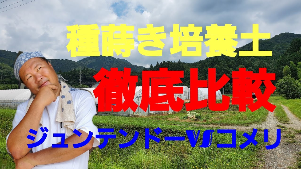 徹底比較 種蒔き培養土 ホームセンターコメリさんとジュンテンドーさんの培養土比較してみました 種蒔き培養土 培養土比較 Youtube
