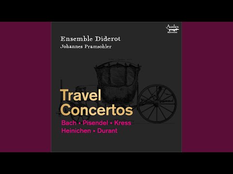 Concerto in D Major, Seibel 226: II. Adagio