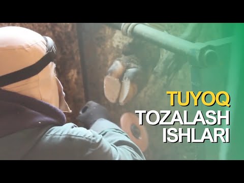 Video: Tozalash bo'yicha diplom olasizmi?