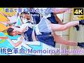 ②【4K/60p】桃色革命(Japanese idol group Momoiro Kakumei)『IDOL Treasure bottle LIVE 春の幕張スペシャル』2026年4月19日(日)