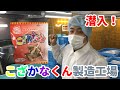 潜入！こざかなくん製造工場