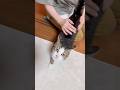 見てる方もスッキリ