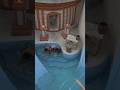 Build waterslide into butterfly swimming pools house