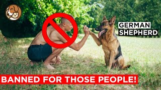 12 People Who Should Never Own A German Shepherd by Pet Room 364 views 1 year ago 4 minutes, 1 second