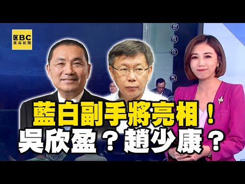 【總統大選／靜宜推播】藍白副手將亮相！吳欣盈？趙少康？