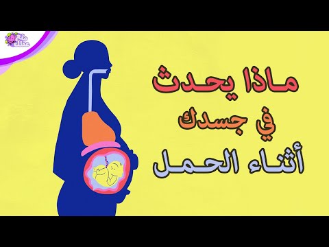 فيديو: خلال فترة الحمل ما هي التغيرات الجسدية؟