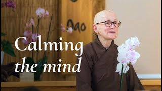 Gentleness Starts from Within | sr. Dao Nghiem by Plum Village 7,894 views 4 months ago 1 hour, 34 minutes