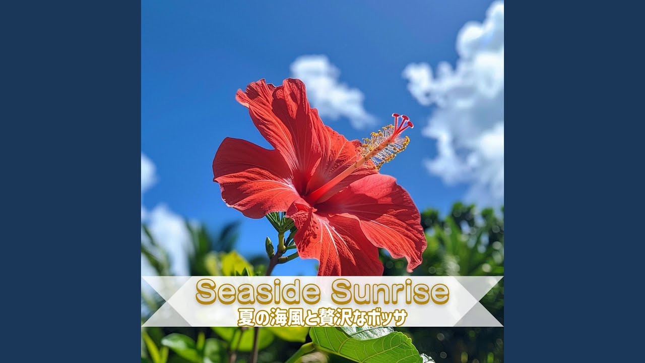 Seaside Sunsets Whispers