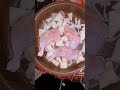 صينيه دجاج مع البطاطا وشرائح البصل