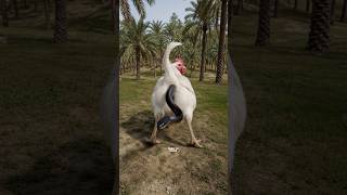 Snake vs Chicken! 🐍🤯 Part 3 #shorts #snake #comedyfilms #comedy #shortsfeed #viral #zerotv