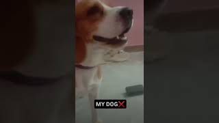 Check Out My Instagram Gnana To