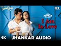 I Am In Love: Yeh Dil Aashiqana | Kumar Sanu, Alka Yagnik | Karan Nath, Jividha |Latest Jhankar Mix