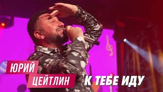 Юрий Цейтлин - К Тебе Иду (Концерт, Москва 2023)
