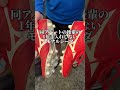 サッカースパイクの人工芝汚れを簡単に落とすアイテムを見つけました スパイク サッカー ホペイロ 手入れ モナルシーダ サッカースパイクの人工芝汚れを簡単に落とすアイテムを見つけました スパイク サッカー ホペイロ 手入れ モナルシーダ