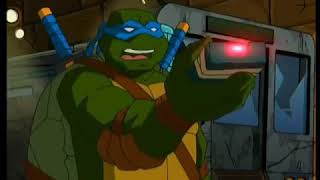 Nindza Kornjace - Reklama