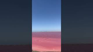 Pink lake/ Dorob National Park Namibia