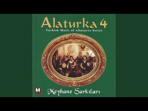 Sevmekten Kim Usanır