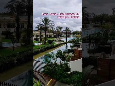 Lara Barut Collection