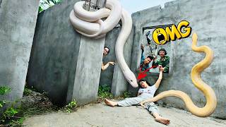 Brave Expert Rescues Young Girl from Giant White Python in Abandoned House. Net Worth