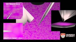 FIB of atom probe samples - plan lift-out