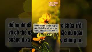 Từ một người, Ngài đã làm nên mọi dân tộc #kinhthanh #kinhthanhmoingay