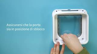 Gattaiola con lettore di microchip Connect : Sostituzione della porta by Sure Petcare 96 views 4 months ago 1 minute, 36 seconds
