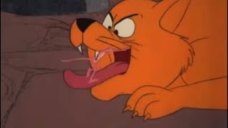 Inside A Cats Mouth Ppatb