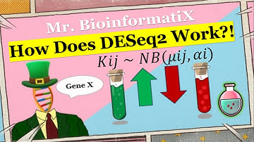How Does DESeq2 Work ⁉️ Bioinformatics for Beginners | GENE EXPRESSION ANALYSIS