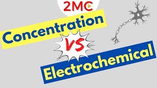 Concentration Gradients VS Electrochemical Gradients | With Examples