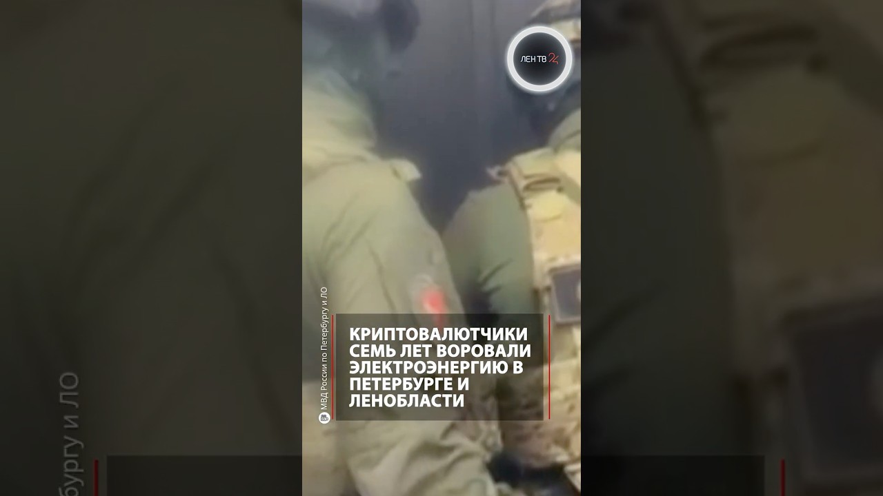 Криптовалютчики семь лет воровали электроэнергию в Петербурге и Ленобласти