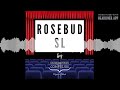 Rosebud Sociedad Limitada #21 &quot;Nuevo canal&quot;