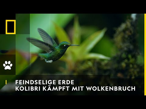 FEINDSELIGE ERDE -