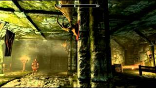 Skyrim Graphics Problem (PC)