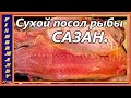 Разделка, и сухой посол сазана, (карпа) на холодное копчение !