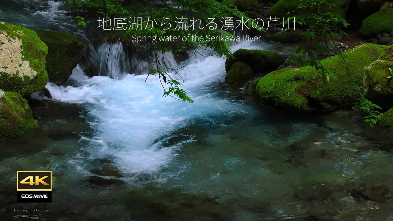 4K + 自然環境音 / 心も身体も整う湧水流れる音 / 地底湖から流れくる湧水の芹川