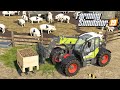 Zakup świń - Farming Simulator 19 | #58