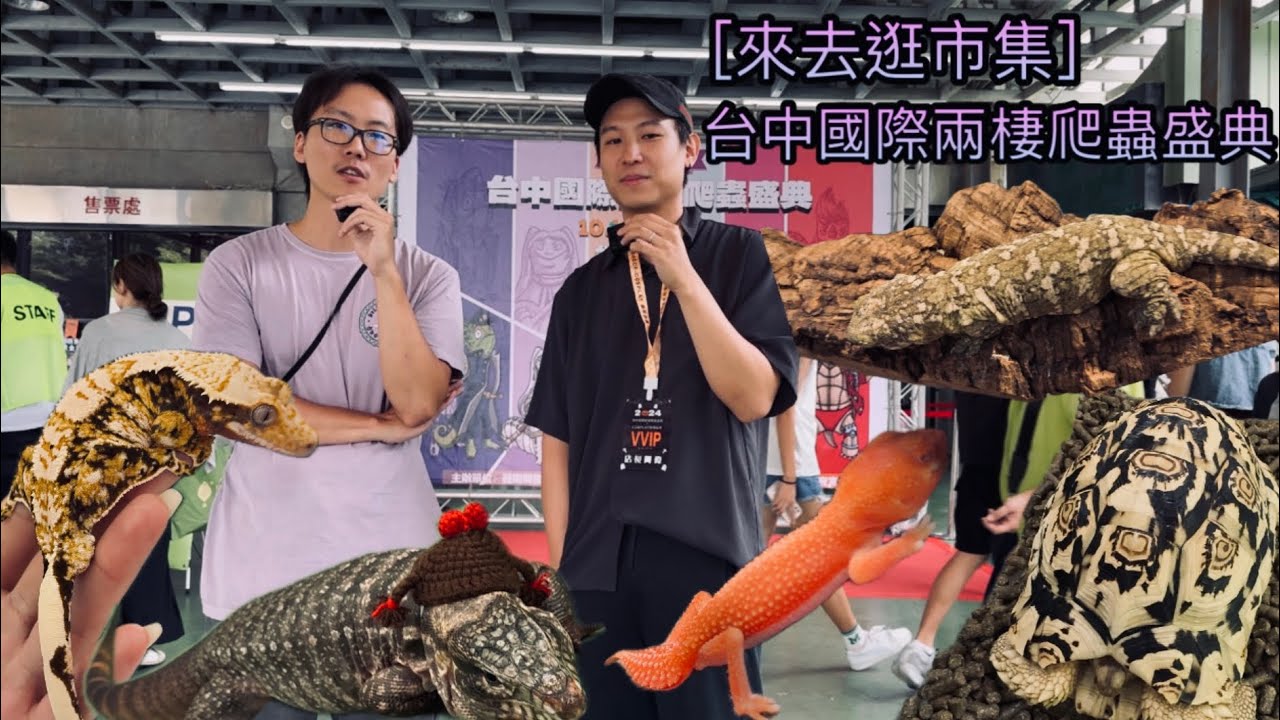 ［來去逛市集］台中國際兩棲爬蟲盛典🤩期待已久的爬展終於來了，這次我要找出展場所有的巨人守宮。爬蟲展/豹紋守宮/巨人守宮/肥尾守宮/魔物守宮