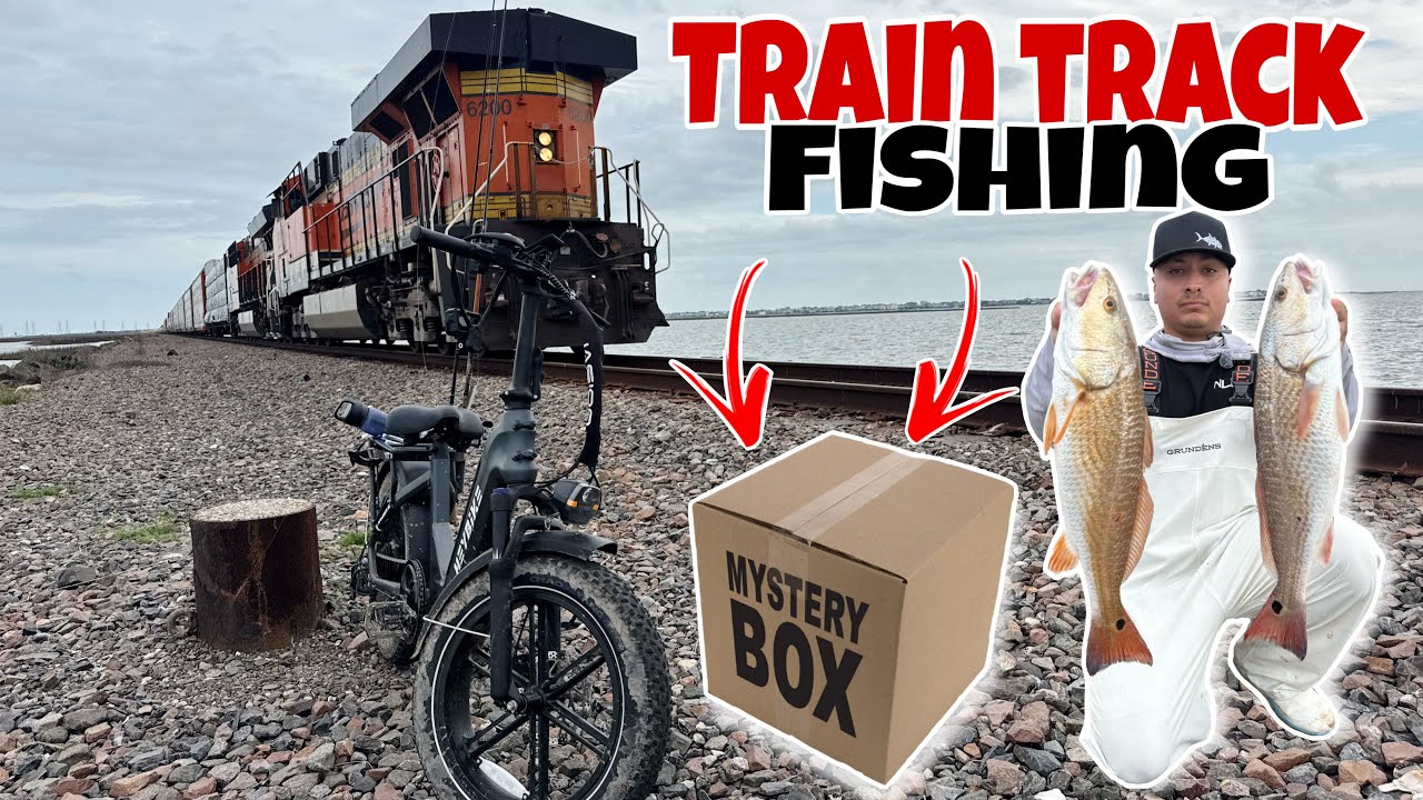 Эта коробка решает, поймаю я рыбу или нет…