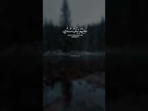 ما عانق الق رآن قلب ا إل ا وأزهر  اكسبلور 
