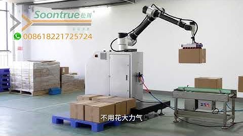Palletizing robot --- Soontrue Machinery